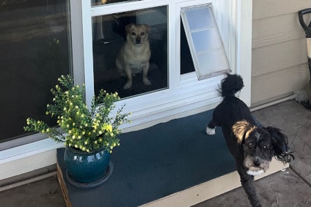 Pet door installation new