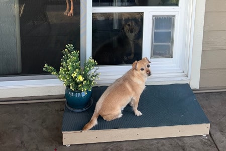 Pet Door Installation